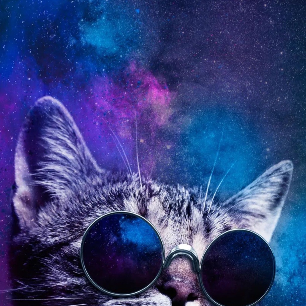 DIY Sticker Tesla Model Y wrap texture - DIY Sticker