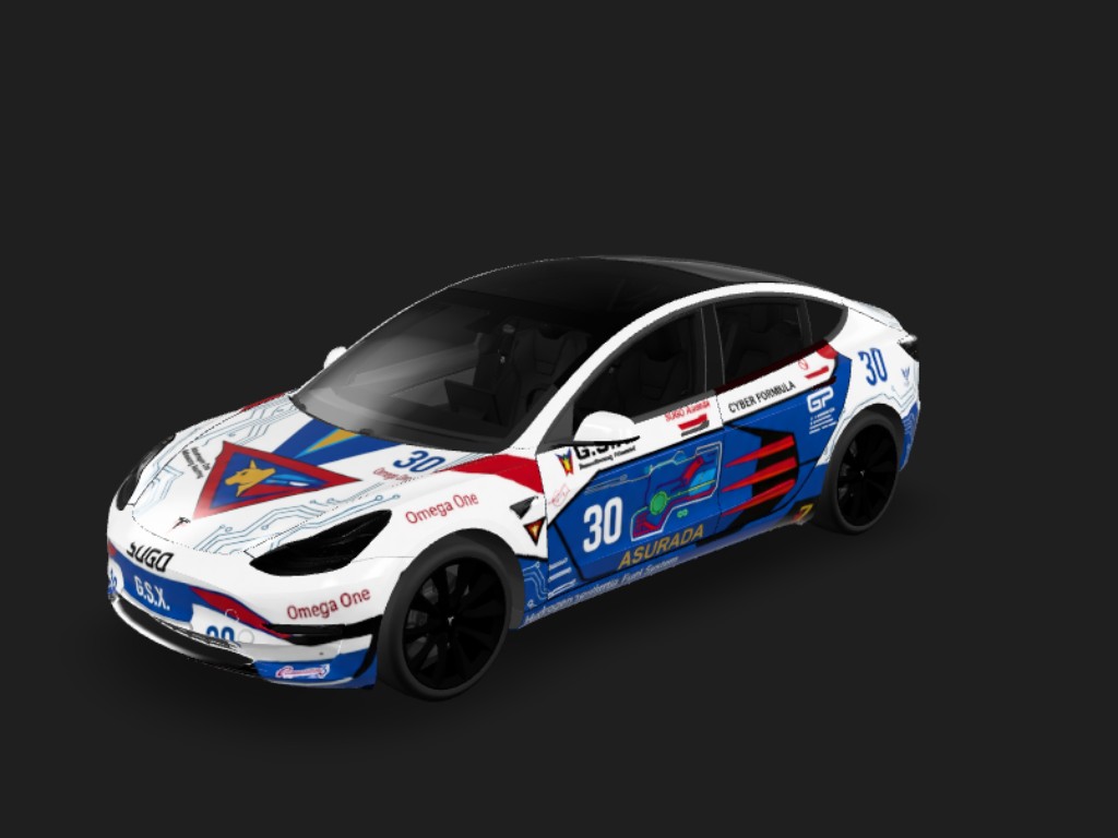 雷神阿斯拉達G.S.X Tesla Model 3 wrap - DIY Sticker...