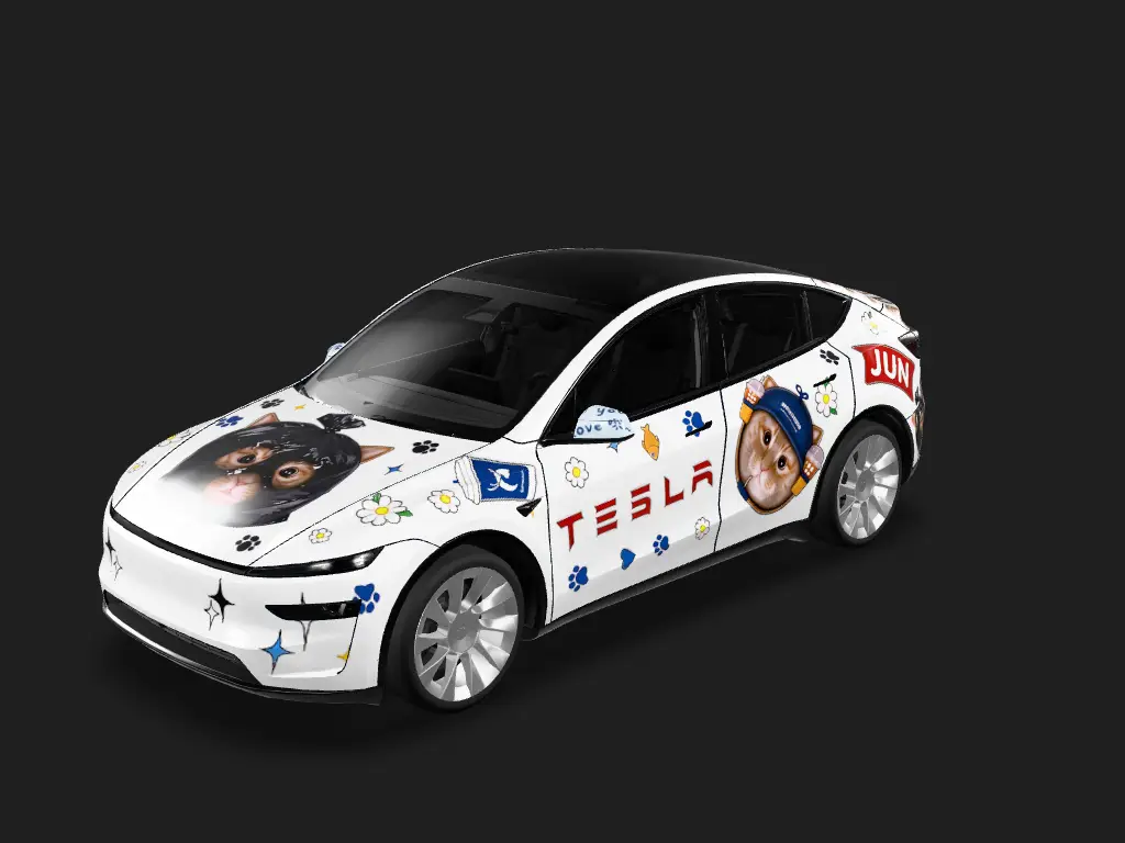 DIY Sticker Tesla Model Y 焕新版 wrap - DIY Sticker...