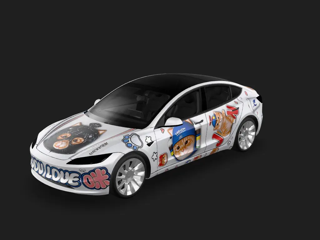 DIY Sticker Tesla Model 3 焕新版 wrap - DIY Sticker...