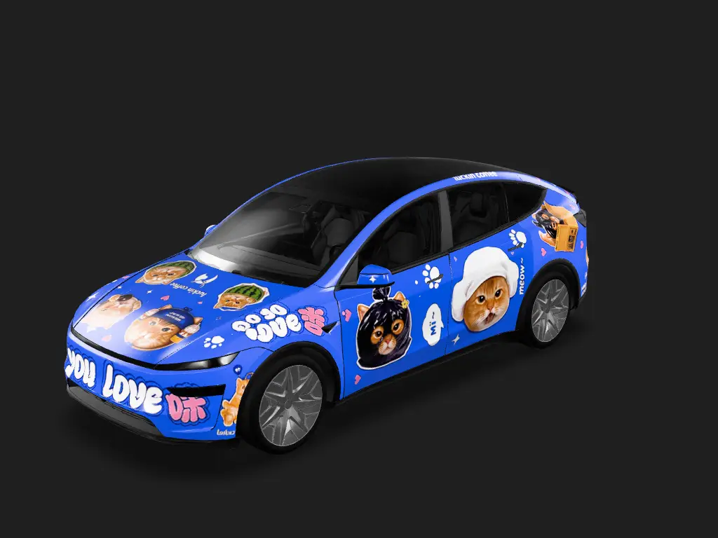 DIY Sticker Tesla Model Y L wrap - DIY Sticker...