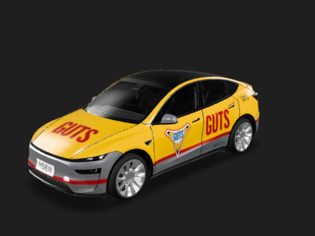 Y型焕新 Tesla Model Y 焕新版 wrap - 参考附件图片来生成，不用调整，注意前后车牌位置...
